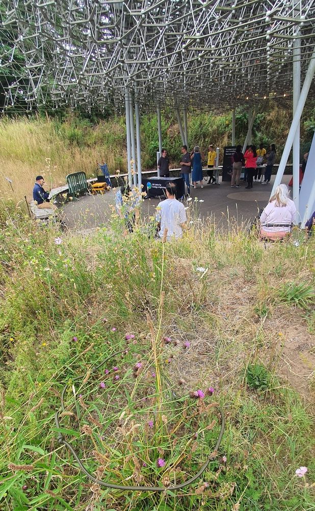 A FIT Count in progress targeting knapweed in the wild flower meadow next to The Hive 