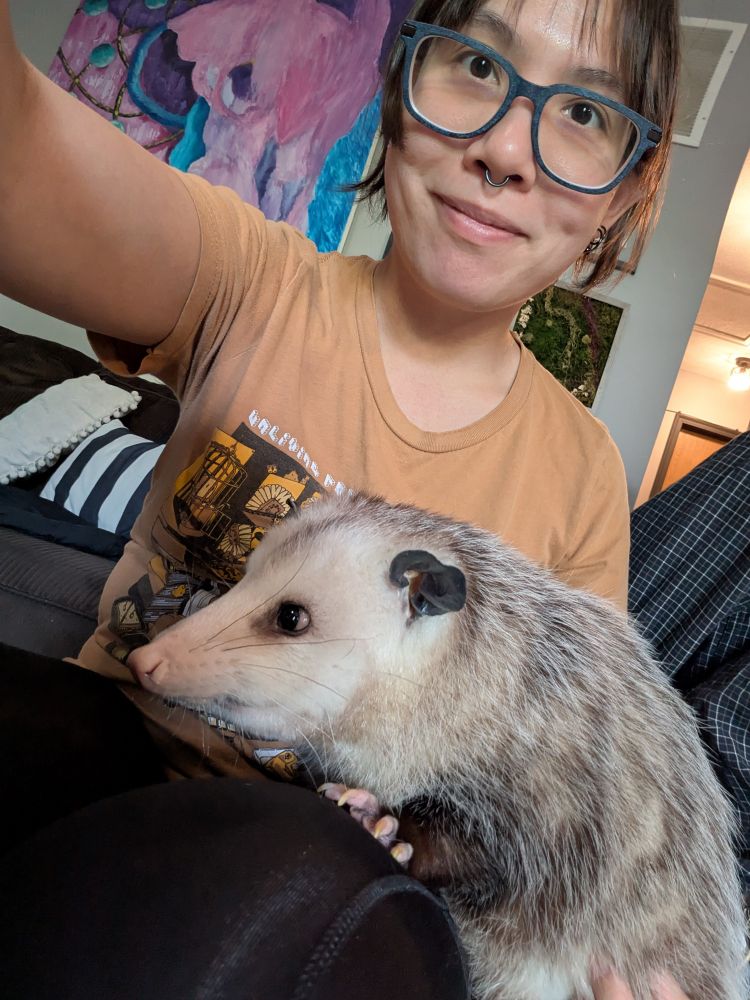 possum 