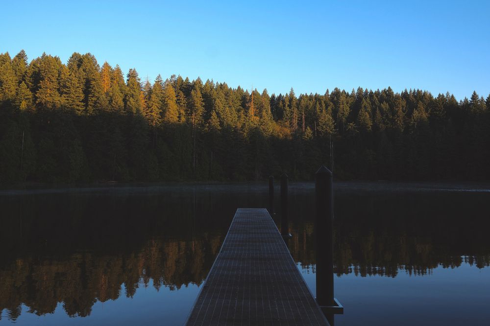 A metal pier extends over a calm lake, reflecting a forest of tall trees under a clear blue sky.