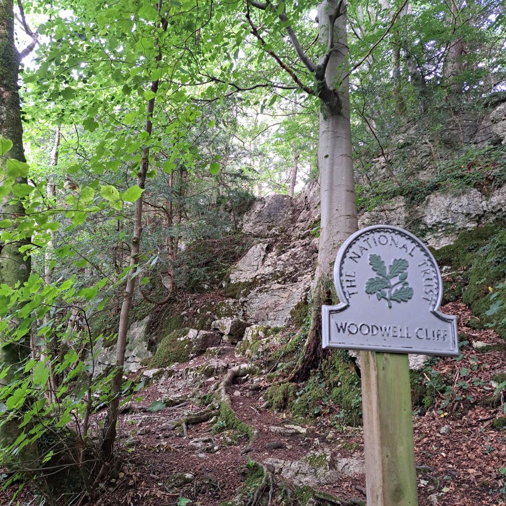 National Trust sign saying Woodwell Cliff, with the cliff in the background.
