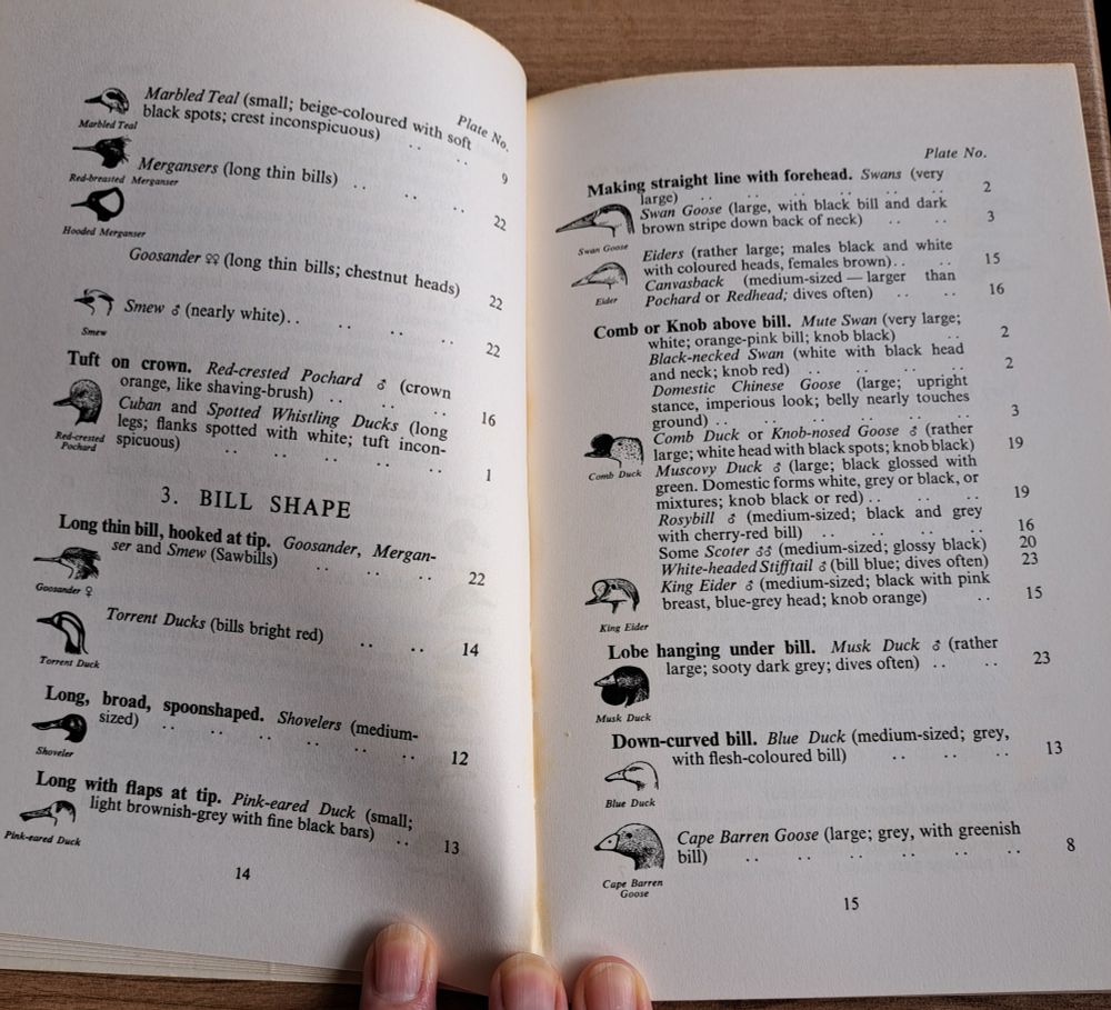 Black and white illustrations and descriptions of the different bill shapes of ducks.