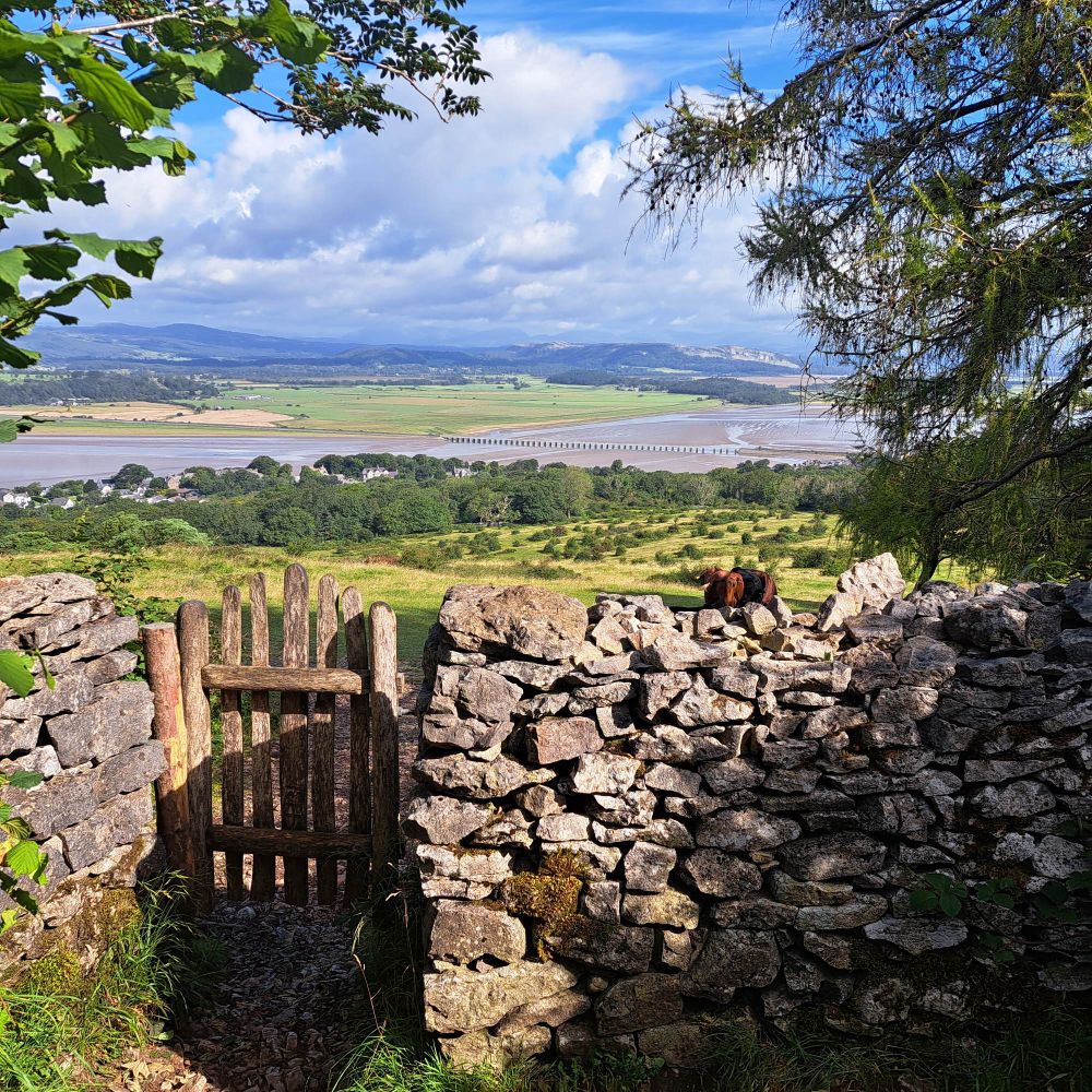 A hand-made wooden gate in a dry stone wall, with views of Arnside viaduct and the Kent Estuary in the background.