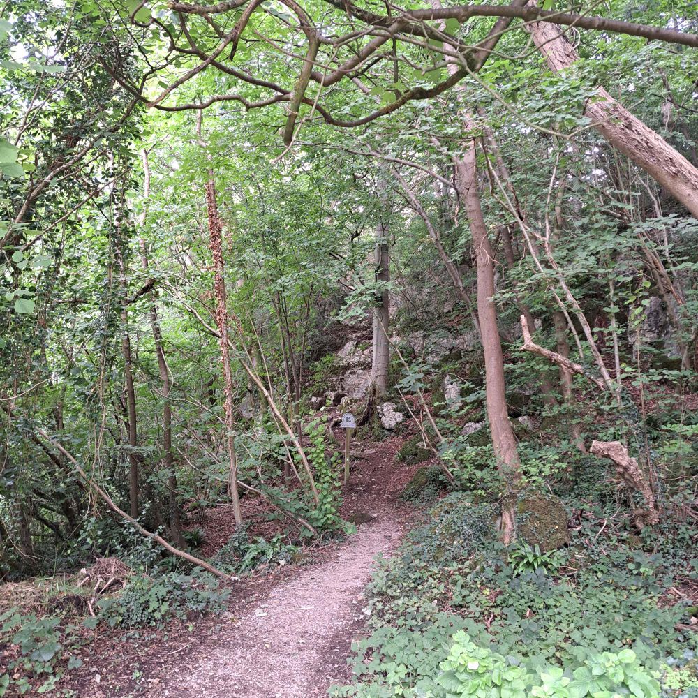 Footpath leading towards a small limestone cliff face.