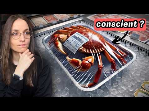 Les crabes souffrent-ils vraiment ?  🦀 La science brise le silence