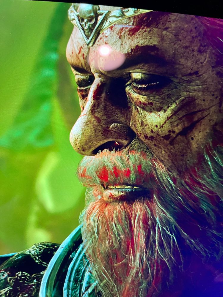 Capture d’écran de baldur Gates 3