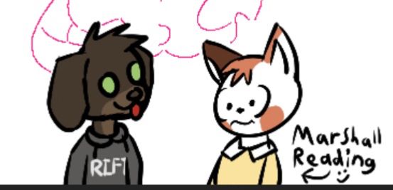 Green-eyed blepping dachshund Allen wearing RIFT hoodie hanging out with smiling calico cat boy Marshall Reading