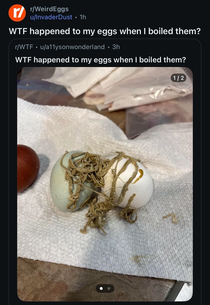 Horrifying image. 2 hard boiled eggs sitting on a paper towel covered in a dark grey-green stringy substance. It’s a biohazard for sure 