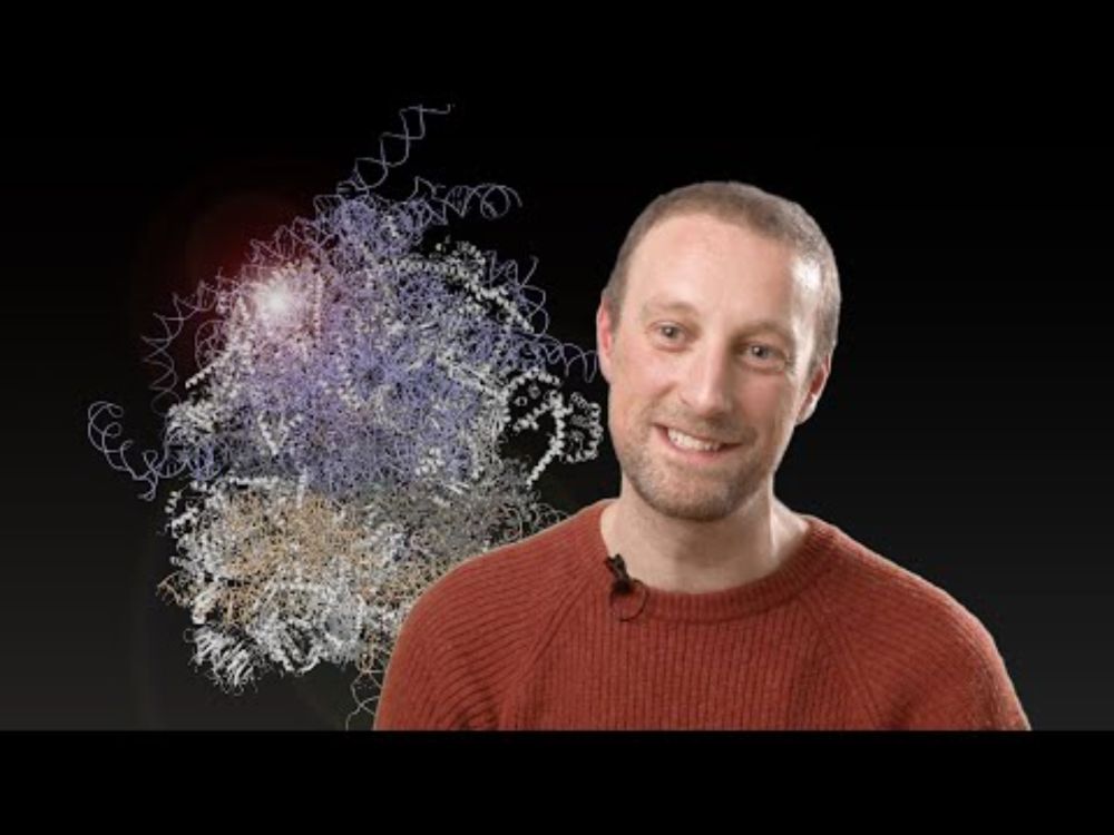 FacesofNKI: meet Liam Faller