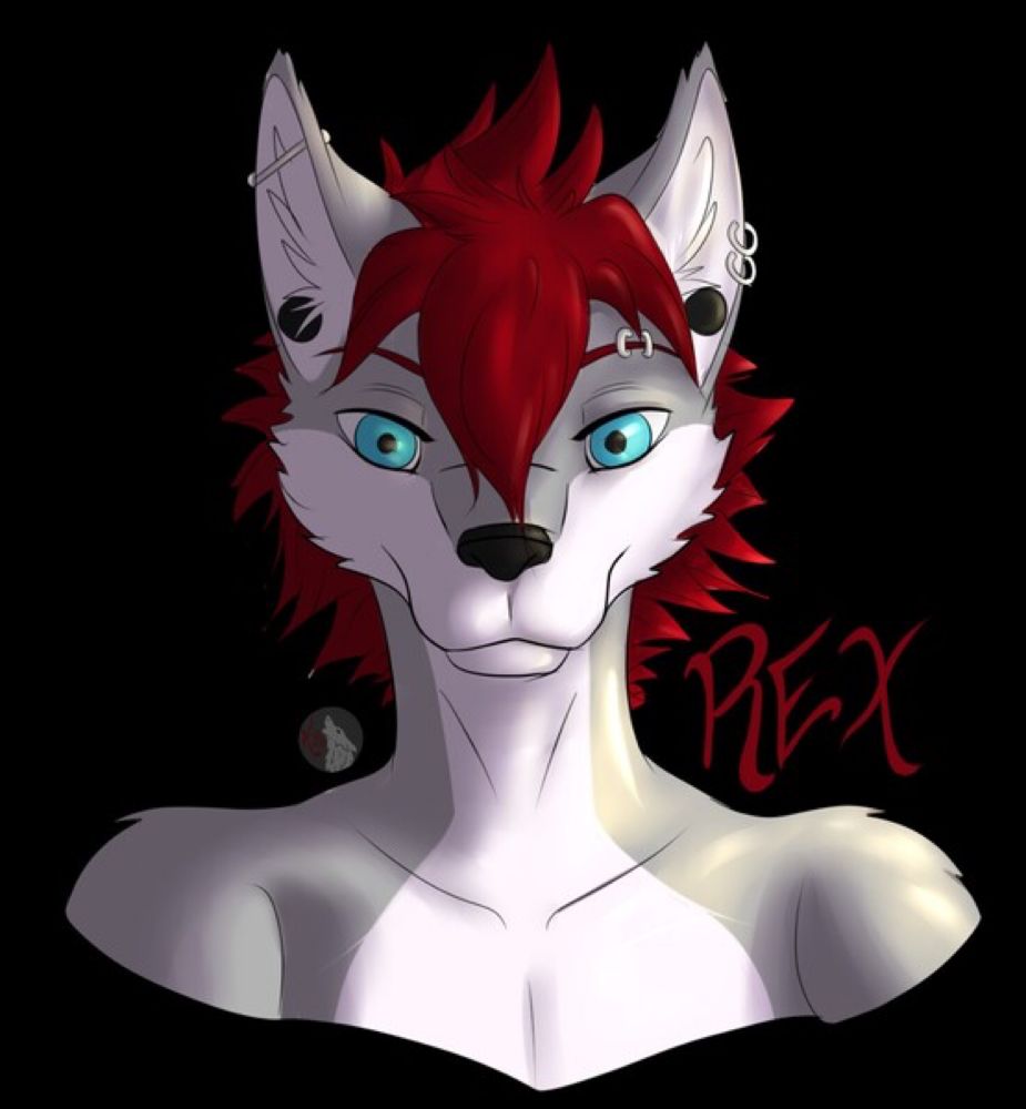 Kurai headshot in-stream by RexCanis