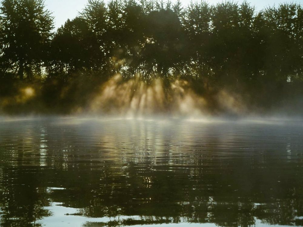 Durch Bäume am Ufer fallen Sonnenstrahlen. Über dem Wasser liegt leichter Morgendunst. 
