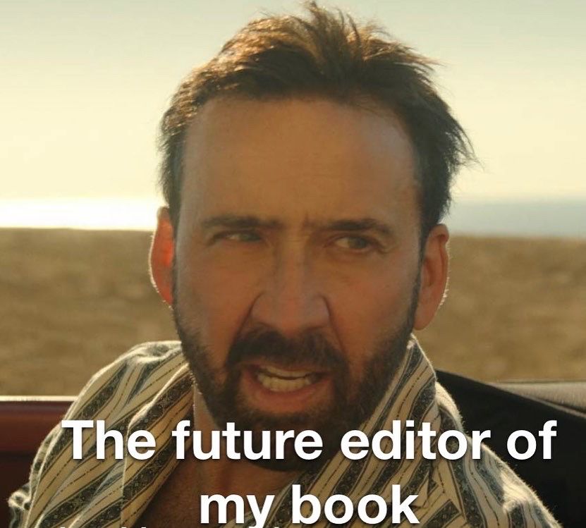 Nicolas Cage looking confused/irritated with the words “the future editor of my book”. 