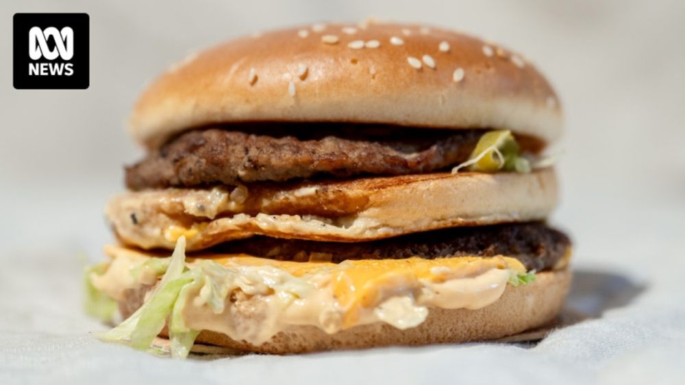 The price of this burger tells the story of our cost-of-living crisis