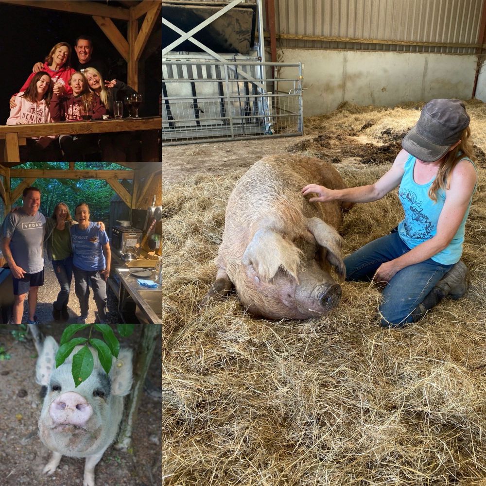Collage of 4 pics - 1 of Sasha with VeeVee the piggie, Sasha with Geoff & I, Laces (piggie who has since passed away) & a group pic
