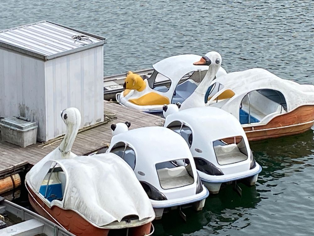 湖のボート貸出所にあるアヒルさんボート2隻と、アヒルさんボート風のコアラとパンダが船首についたボート