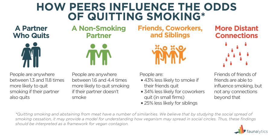 HOW PEERS INFLUENCE THE ODDS OF QUITTING SMOKING*

A Partner Who Quits: People are anywhere between 1.3 and 11.8 times more likely to quit smoking if their partner also quits.

A Non-Smoking Partner: People are anywhere between 1.6 and 4.4 times more likely to quit smoking if their partner doesn’t smoke.

Friends, Coworkers, and Siblings
People are:
-43% less likely to smoke if their friends quit.
-34% less likely for coworkers quit (in small firms).
-25% less likely for siblings.

More Distant Connections: Friends of friends of friends are able to influence smoking, but not any connections beyond that.

*Quitting smoking and abstaining from meat have a number of similarities. We believe that by studying the social spread of smoking cessation, it may provide a model for understanding how veganism may spread in social circles. Thus, these findings should be interpreted as a framework for vegan contagion.