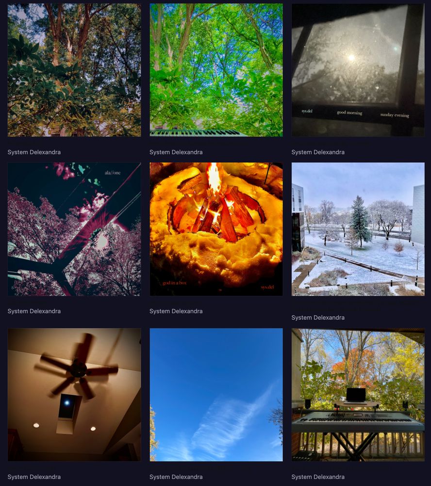 a screenshot of the album artwork for the 4 albums and 5 singles in the System Delexandra discography