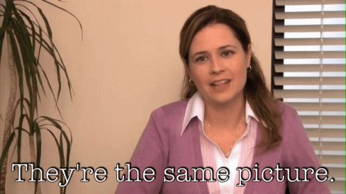 GIF of Jenna Fischer, as Pam from The Office, saying: "They're the same picture."