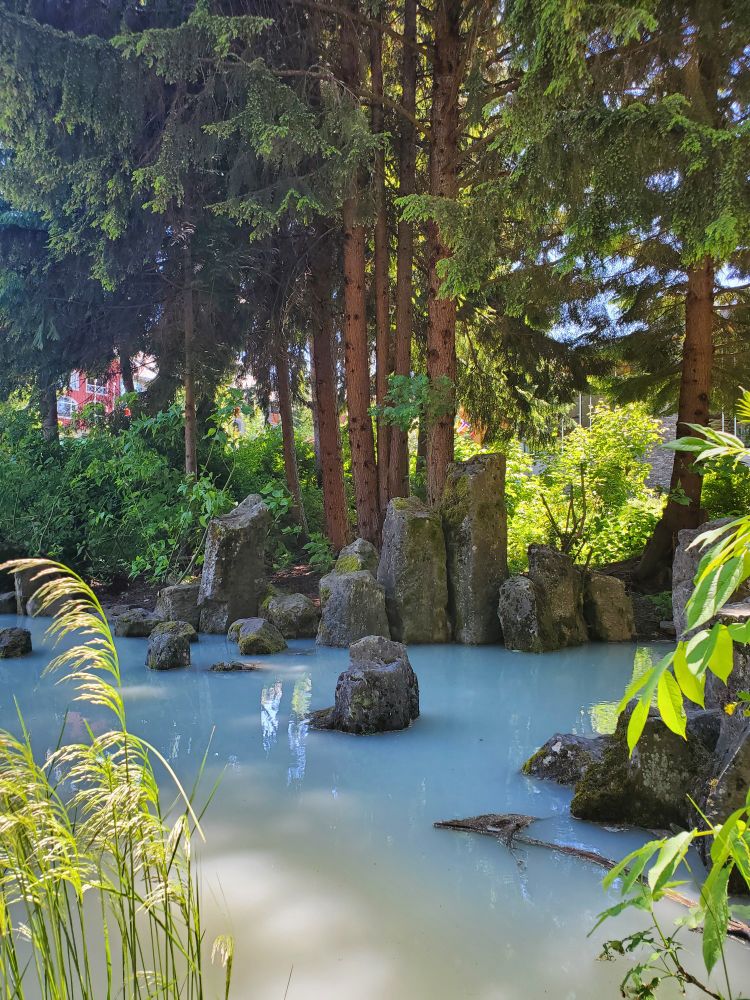 a little river in the park