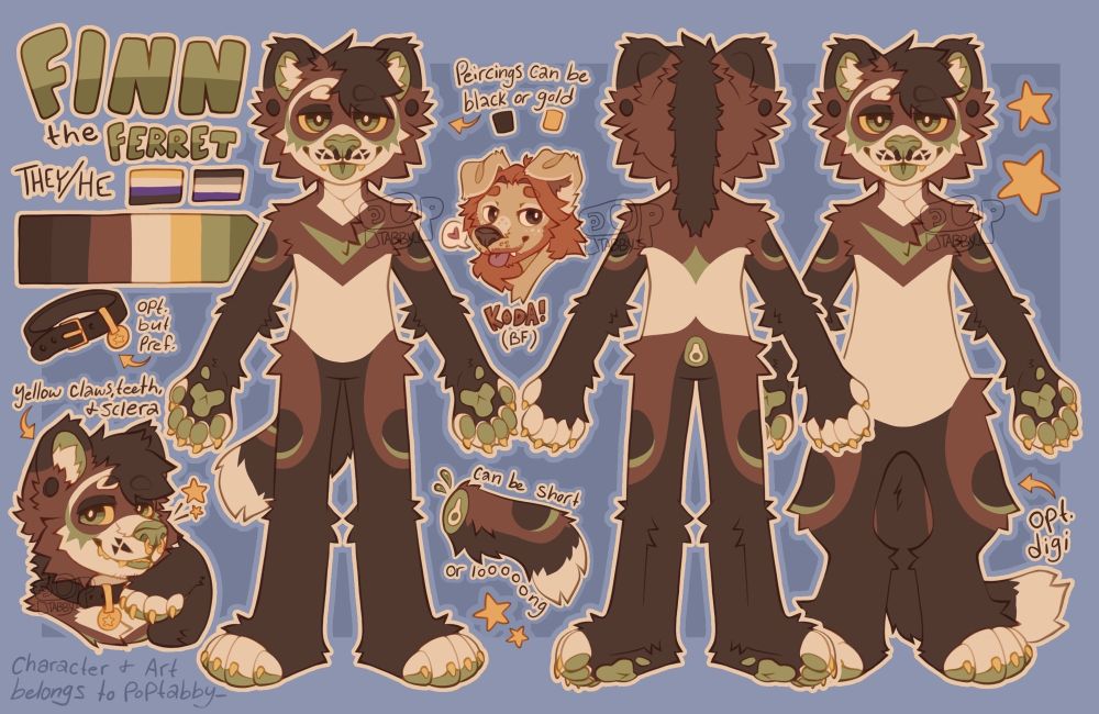 reference sheet of a ferret character named finn, his pronouns are they/he