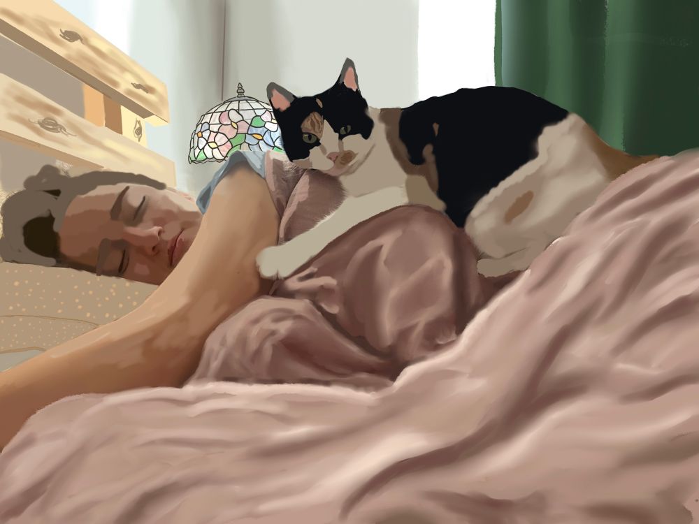 A digital painting of a young woman sleeping with her cuddly calico cat.