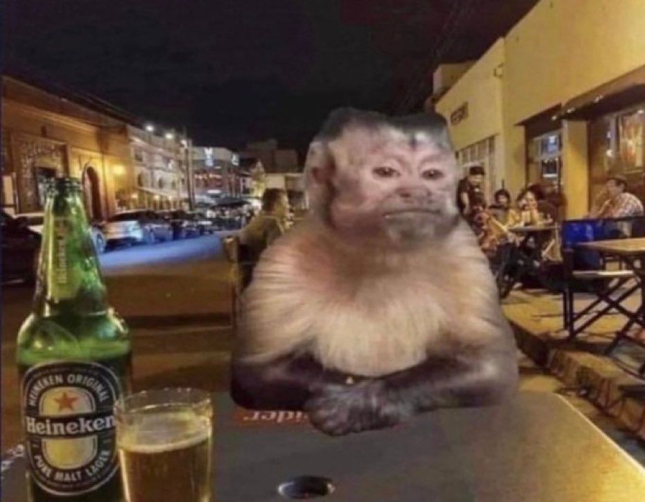 singe qui boit sa binch il regarde l’objectif d’un air blasé 
HEINEKEN? FUCK THAT SHIT, PAST BLUE RIBBON