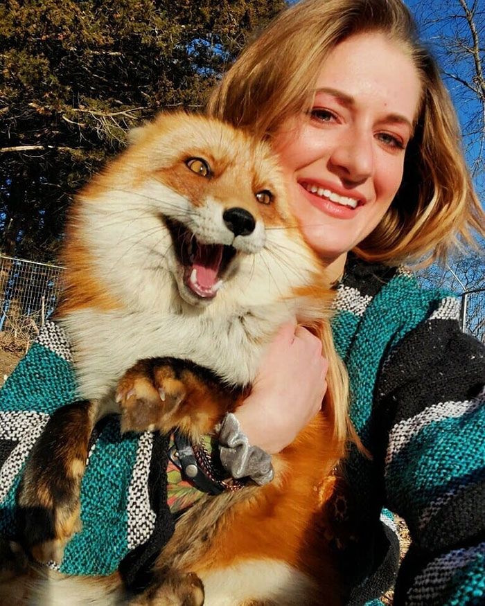Save a fox founder Mikayla Raines holding a rescued Fox. 