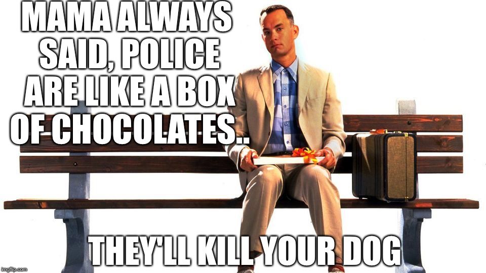 Forest Gump - MAMA ALWAYS SAID POLICE ARE LIKE A BOX OF CHOCOLATES… THEY’LL KILL YOUR DOG 