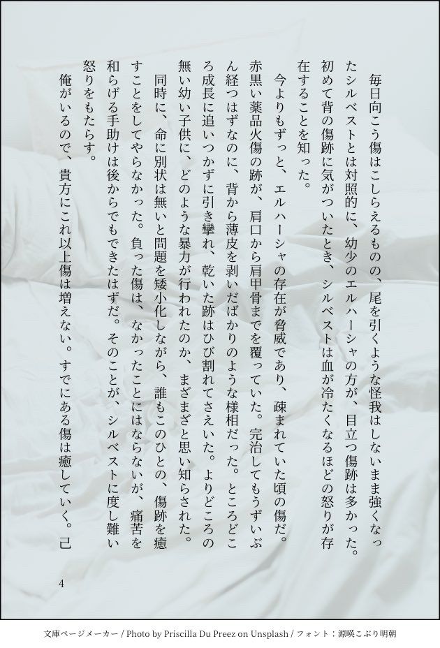 毎日向こう傷はこしらえるものの、尾を引くような怪我はしないまま強くなったシルベストとは対照的に、幼少のエルハーシャの方が、目立つ傷跡は多かった。初めて背の傷跡に気がついたとき、シルベストは血が冷たくなるほどの怒りが存在することを知った。
　今よりもずっと、エルハーシャの存在が脅威であり、疎まれていた頃の傷だ。赤黒い薬品火傷の跡が、肩口から肩甲骨までを覆っていた。完治してもうずいぶん経つはずなのに、背から薄皮を剥いだばかりのような様相だった。ところどころ成長に追いつかずに引き攣れ、乾いた跡はひび割れてさえいた。よりどころの無い幼い子供に、どのような暴力が行われたのか、まざまざと思い知らされた。
　同時に、命に別状は無いと問題を矮小化しながら、誰もこのひとの、傷跡を癒すことをしてやらなかった。負った傷は、なかったことにはならないが、痛苦を和らげる手助けは後からでもできたはずだ。そのことが、シルベストに度し難い怒りをもたらす。
　俺がいるので、貴方にこれ以上傷は増えない。すでにある傷は癒していく。己