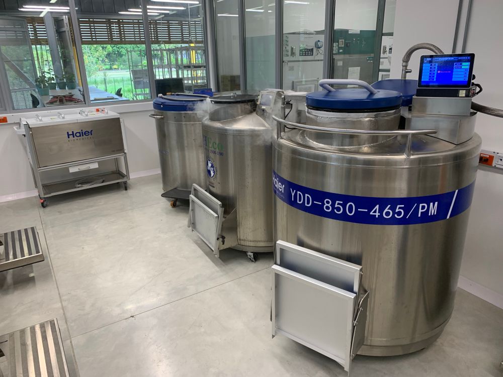 Liquid nitrogen tanks in a cryogenic facility
