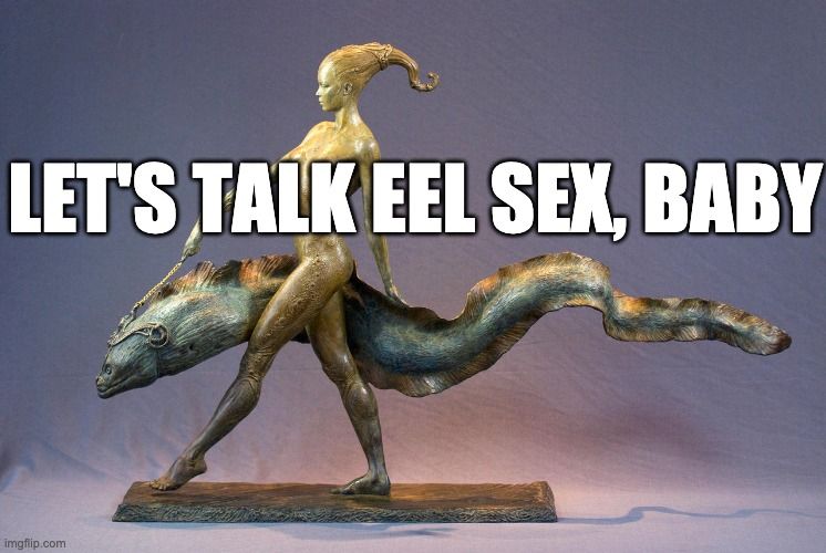 Meme. Photograph of the sculpture "Eel Walker" by Mark Newma, showing naked woman walking an large eel on a leash. The eel -- a massive moray-looking thing -- is floating along off the ground, so we can assume that they are walking through a stream, or on the bottom of the ocean, or through space. OR that it's a magical eel, and it just flies. The eel is fierce and terrible, and probably is expensive to feed.

The woman is done in a golden bronze color. Her hair is floating backwards, suggesting that there is a breeze or an ocean current catching it. I've cleverly (or obnoxiously) written the meme text over her breasts. Sorry, folks; she saving those for the eel. She is muscled and powerful, and the way her left foot is places in front of makes her seem more like a dancer than a walker. She looks like the goddess of eels, taking one of her minions out to gnaw into the dreams of unbelievers and scientists.

Meme text reads: "Let's talk eel sex, baby"