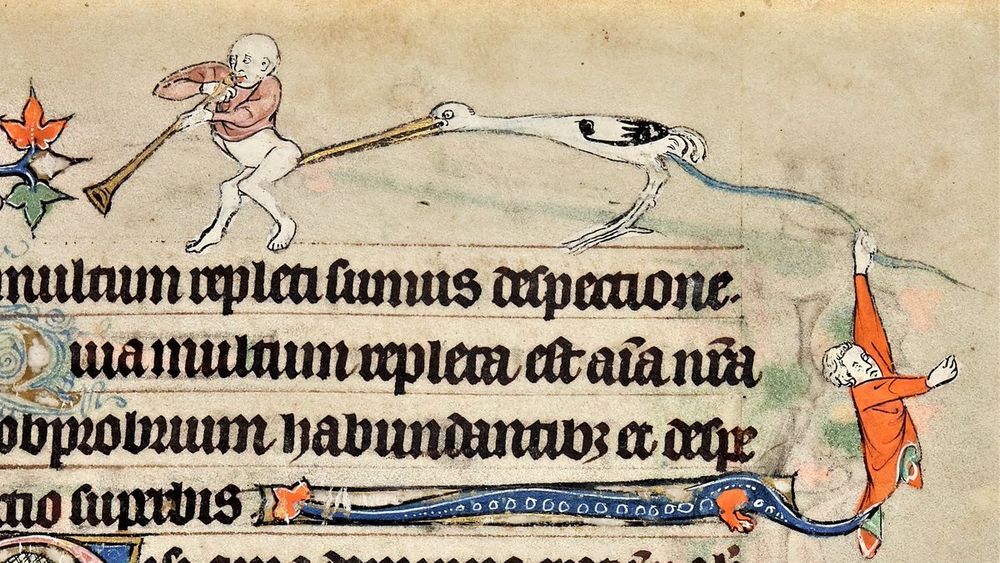 Medieval marginal drawing showing a somewhat grotesque circle of life. A bald man with no pants is playing a horn of some sort, like a trumpet. A stork or heron is poking him in the butt, and looking pretty happy about it. An eel is sliding out of the stork's own rear end, and is being grabbed with one hand by a man in an orange shirt. His other hand is extended as if he might also use it to grab the eel. The man's body disappears into an interlinear something that might be a vine, but also might be an octopus tentacle.

The lettering on the page is minim-tastic.

This is the sort of thing that should only happen between consenting adults (of all sorts: human, bird, eel, and vine/octopus). I hope they have a safeword worked out.