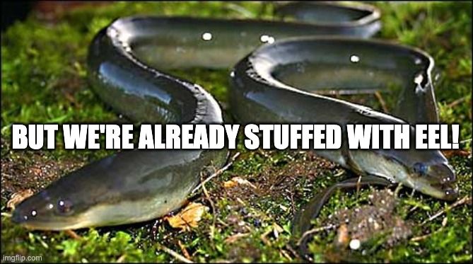 Meme. Photograph of two eels, out of the water, sitting side by side on the grass. They are silvery looking on the top, but you can see that their undersides are white. They are shiny, & look exactly as slippery as you would imagine. The one on the left is longer. He is looking towards his right, though his eye is fixed on the future. The shorter eel on the right is looking more straight ahead. It's mouth is open in a look of abject surprise.

I'd like you to imagine that these two eels don't know each other, but they are waiting for the same bus. They are both on their way downtown, to interview for the same job at a major marketing firm. Neither knows this about the other, and they are caught up in their own worries. The eel on the left has been unemployed for 8 months, & worries that this is its last shot. The eel on the right just realized that it left its resume on the dining room table. Neither will get the job.

Meme text reads:
"But we're already stuffed with eel!"