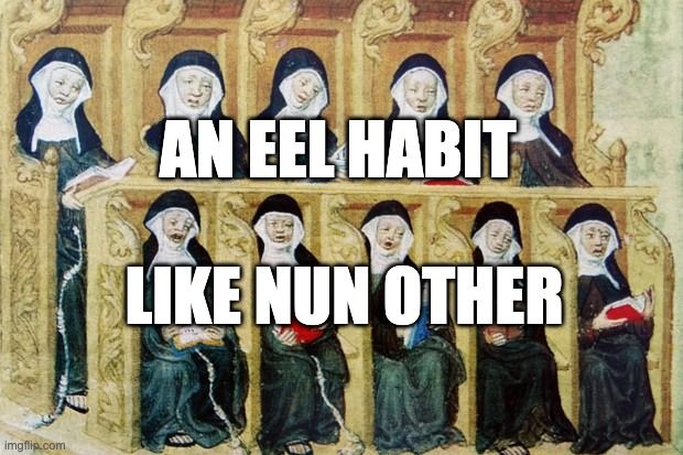 Meme. Medieval art showing 10 nuns, sitting in ornate chairs in two rows. They are all holding books, and appear to be singing. The chairs are connected like fancy pews. They're golden, with scrollwork and carvings all over them. For all that they're richly adorned, they don't look comfortable. You would object if these were your seats on your next plane flight.

Many of the nuns have their mouths open, which is why I think they're singing. BUT...they also look like maybe somebody slipped some hardcore porn into the leaves of their hymnals. Maybe a photo montage of the local bishop earning his next confession. Several of them look shook. A few look...interested.

What makes this idea really funny is that the nun on the upper right is obviously bored out of her mind. Like...this is really old hat for her. Like she looked at the pictures of the bishop and went, "Eh. I've seen bigger." And now she's thinking about umbrellas or something.

Meme text reads:
"An eel habit
like nun other"