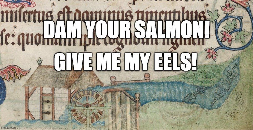 Meme. Image of a medieval mill and eel trap from the 14th C. Luttrell Psalter.  This is a small illumination on the bottom of a folio (page). You can see the mill and dam and an overshot mill wheel. Upstream there are two eel traps, made of wicker. It's a place where "the daily grind" takes on real meaning.

You can see eels in the traps, so you know that there is good fishing happening! It has been suggested that this mill represents one that  Sir Geoffrey Luttrell actually owned, and so likely those eels were due to him in rent. There are flowered decorations around the mill, as a part of the folio's border decor.

You could imagine the miller opening up the mill door every morning, stretching, and thinking: "Another beautiful day grinding corn and wrangling eels for Lord Luttrell!" Or he might instead wish to leave it all behind and start a new life as a riverboat gambler named Beauregard T. Sharp. You never know with millers.

Meme text reads:
"Dam you salmon!
Give me my eels!"