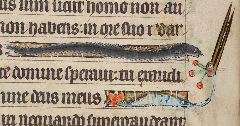 Medieval manuscript with an eel and a heron painted in at the end of lines of text. The eel is two lines above the heron, and it looks furry. The heron has an awesome crown of spikes, and seems to have no legs. Both animals are...ahhh...aspirational. As if the scribe had never really seen either an eel or a heron, but bravely drew them anyway. Kinda like amateur anthropology.

The heron is looking up at the eel. The eel is looking down. You can easily imagine them as Mr. and Mrs. Brady in the Brady Bunch intro.

Source: 
Wren Digital Library, B.11.22, f.40v