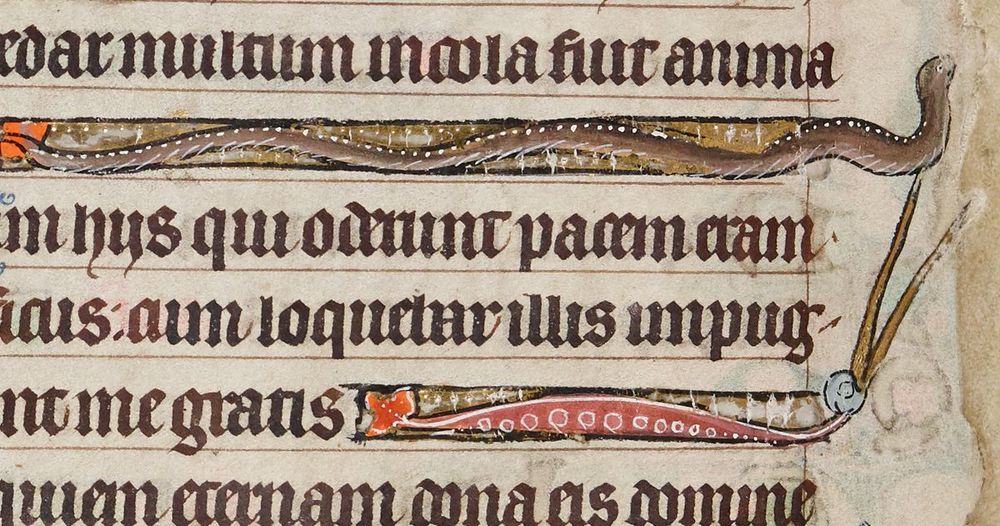 A bit of medieval manuscript in lovely, clear gothic script. In between one of the lines of text is something that looks a lot like an eel, except it is somewhat furry looking. By medieval marginalia standards, though, it's pretty clearly an eel. It's brown, and slithery, and knows that it's cool as fuck.

Three lines below it is some sort of interlinear beast that looks like a sea cucumber with the head of a stork or heron. It's head it's pointed up towards the eel, with it's long beak reaching, but not quite grabbing, the fish. The eel, for it's part, is shying away from the cucumber-bird's hunger. Which shows good sense, really.

The slug-stork, btw, is one of the ways you know that the eel is an eel. The connection between storks/herons/demiherons/etc. & eels is very well established in medieval English artwork. If you wonder if the thing you're looking at is a snake or an eel, look for a stork.

Also, if the artwork was made in England, it's probably an eel. They LOVED their eels!