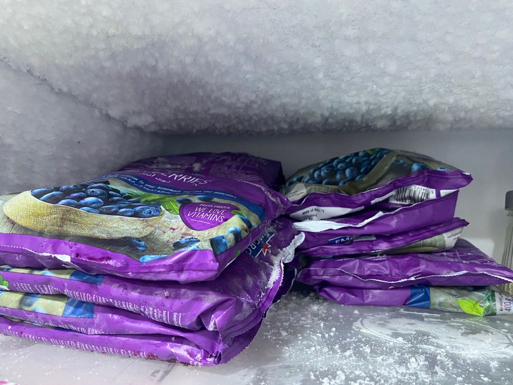 like 10 bags of frozen blueberries