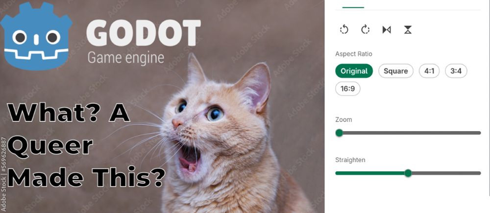 A picture of the LinkedIN image editor with a queer meme in it.

The LinkedIN image editor has a "Straighten" option.