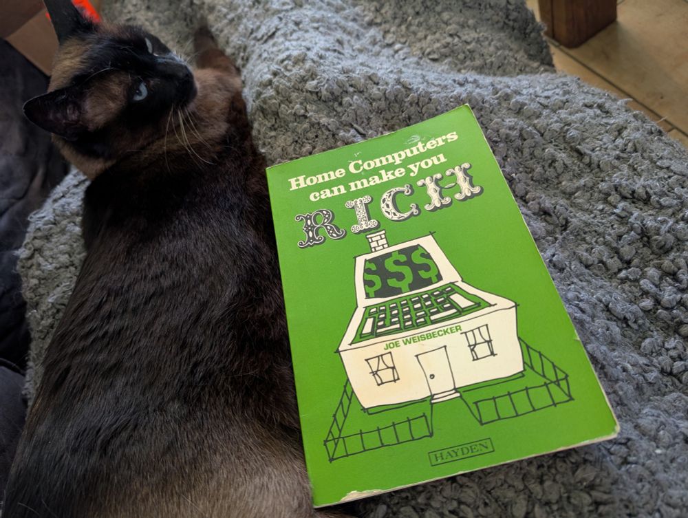 A picture of a very good cat laying next to a green book with the title "home computers can make you rich"

There is an illustration of a home computer with dollar signs on the screen as the roof of a house. 

It is not a very good illustration.