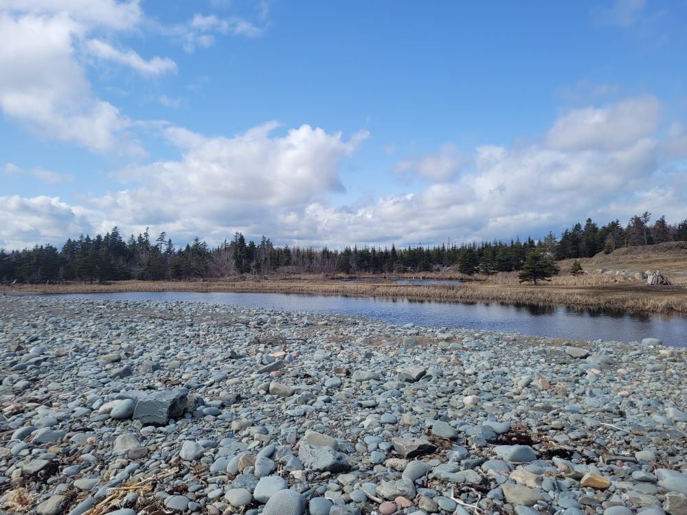 Cobble Beach and salt marsh