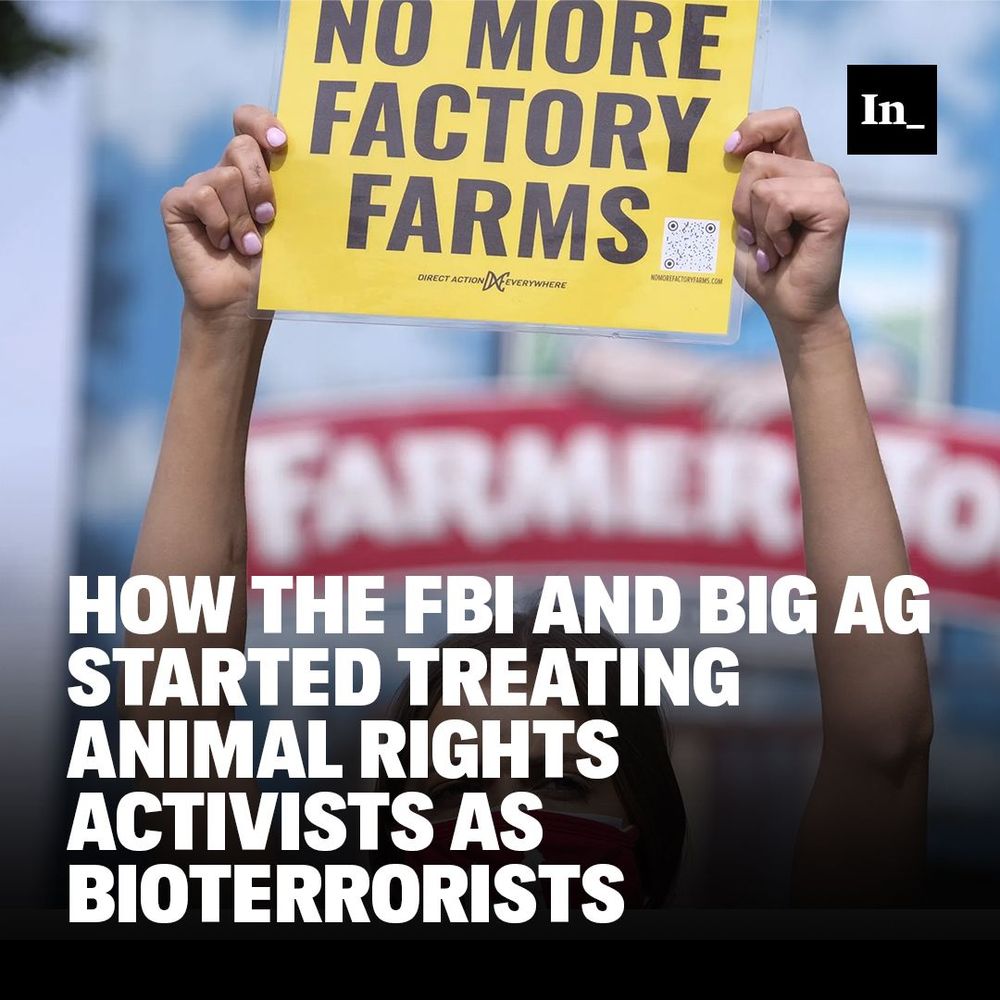 A photo of an animal rights activist protesting at the Farmer John slaughterhouse in Vernon, Calif., on Feb. 15, 2021, overlaid with the headline, "How the FBI and Big Ag Started Treating Animal Rights Activists as Bioterrorists."