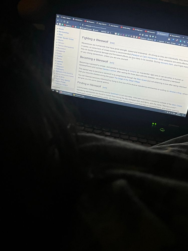Girl reading a laptop screen with the text “fighting a werewolf, becoming a werewolf, and fighting a werewolf” 
