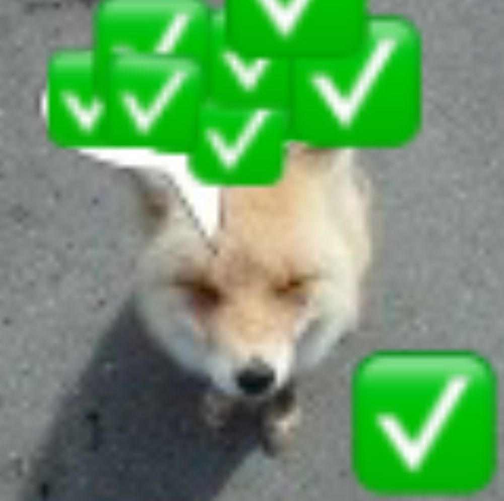 Comment image