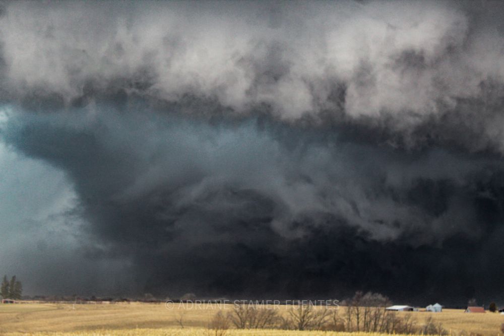 Close up picture of the Hedrick, Iowa EF-3 wedge on March 31st, 2023! 🌪️