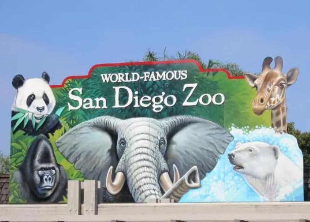 A Journey Through The Wild: Exploring The San Diego Zoo