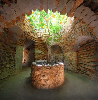 A magnificent underground dwelling with trees growing in it