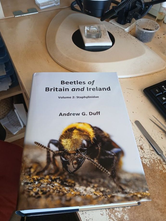 The newly published 2nd volume of Beetles of Britain and Ireland