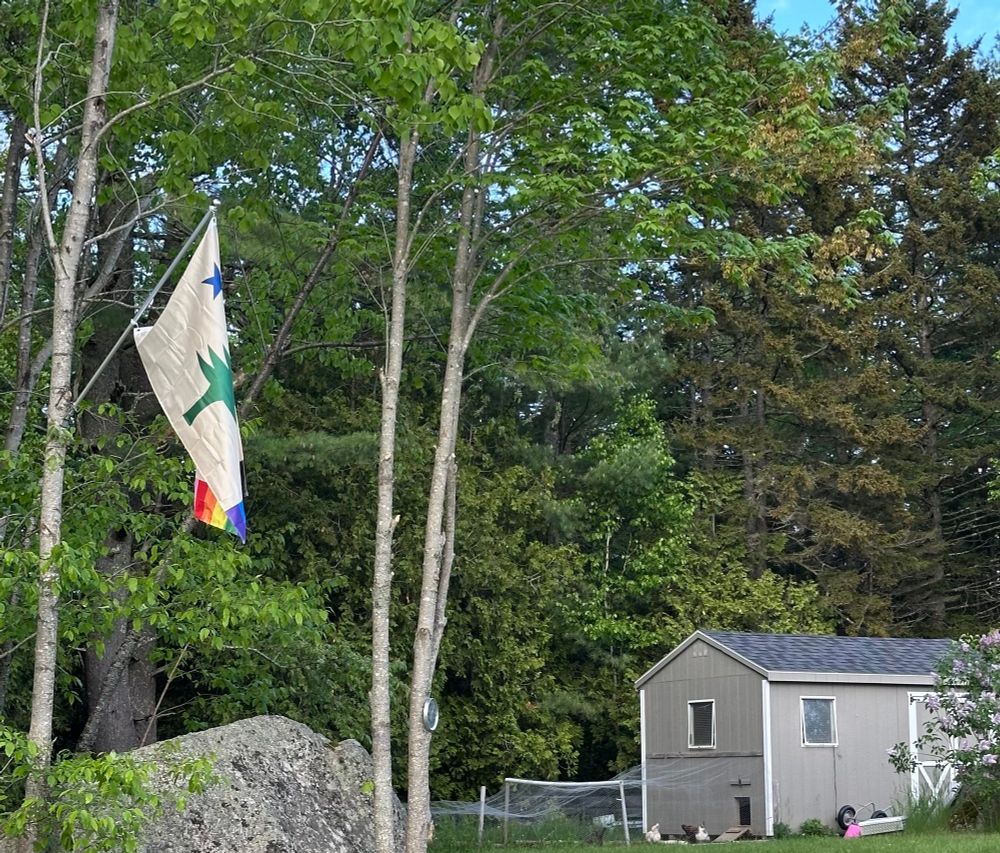 A Maine Pride flag hangs from a tree with a hen house in the background