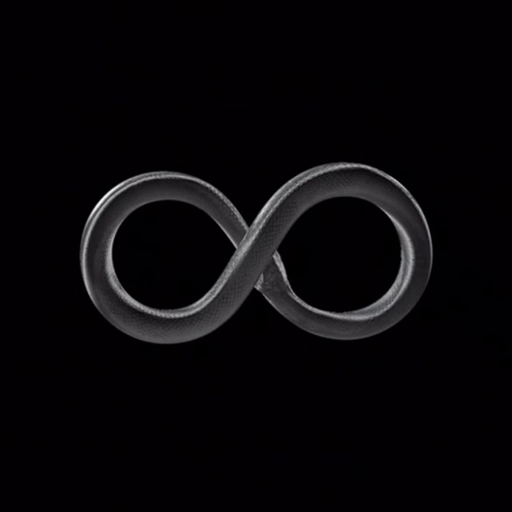 an infinity symbol with a snake in the middle