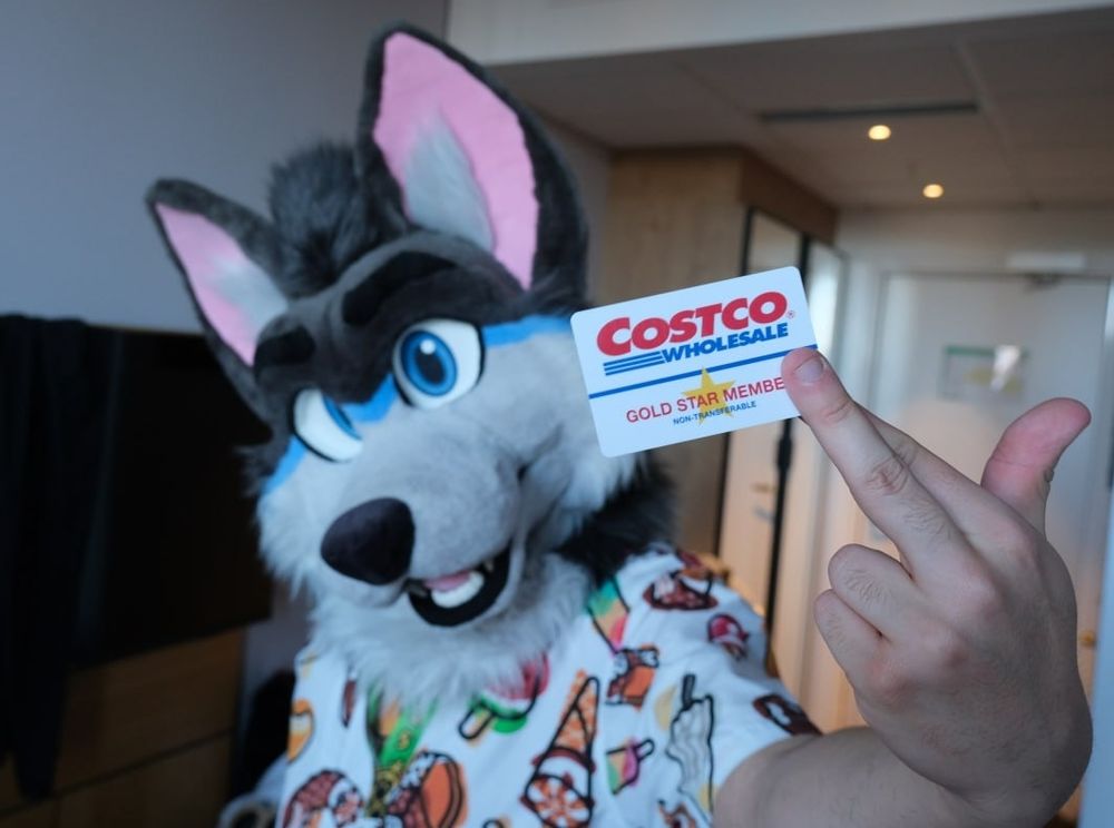 A fursuit holding a Gold Star Costco membership card close to the camera 